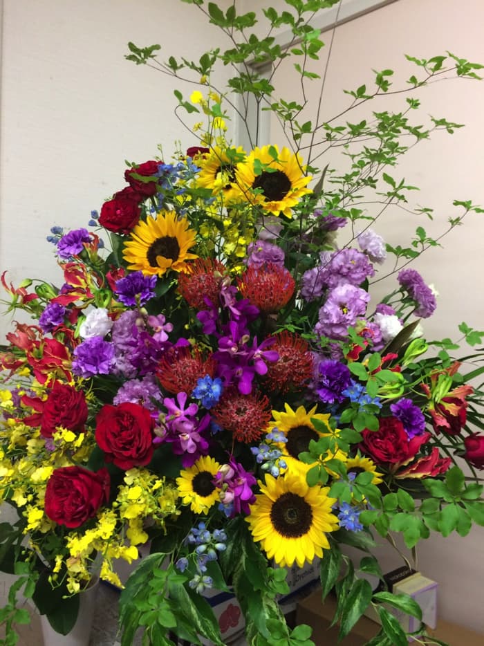 s__38068249.jpg