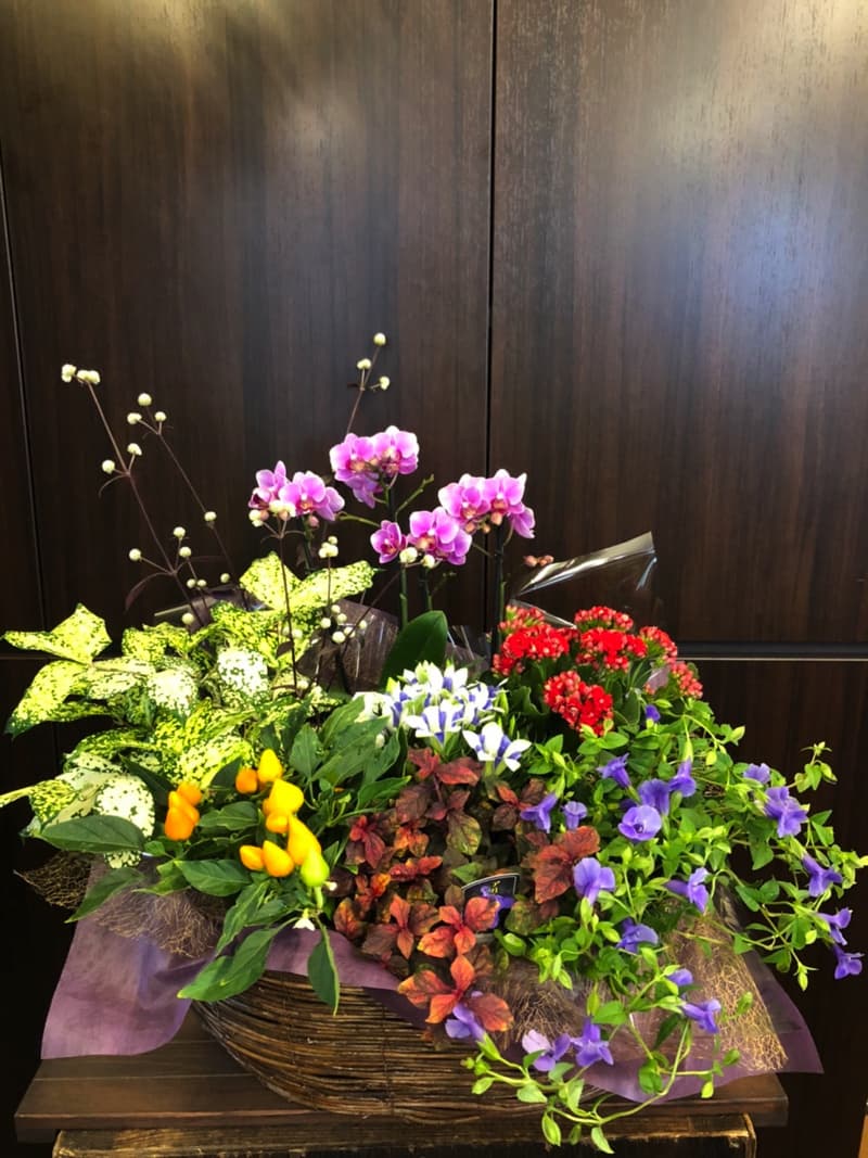 s__34390047.jpg
